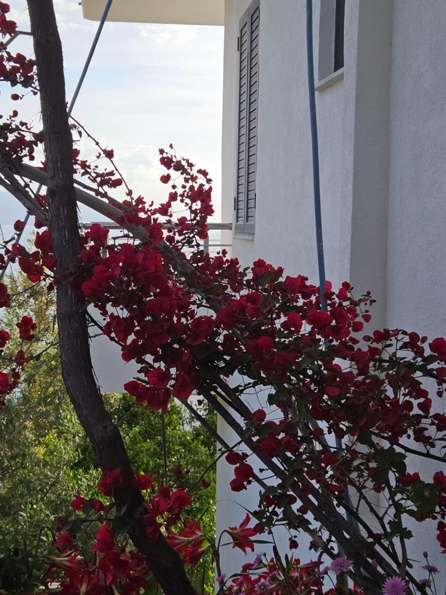Nora'S Guesthouse Saranda Kültér fotó