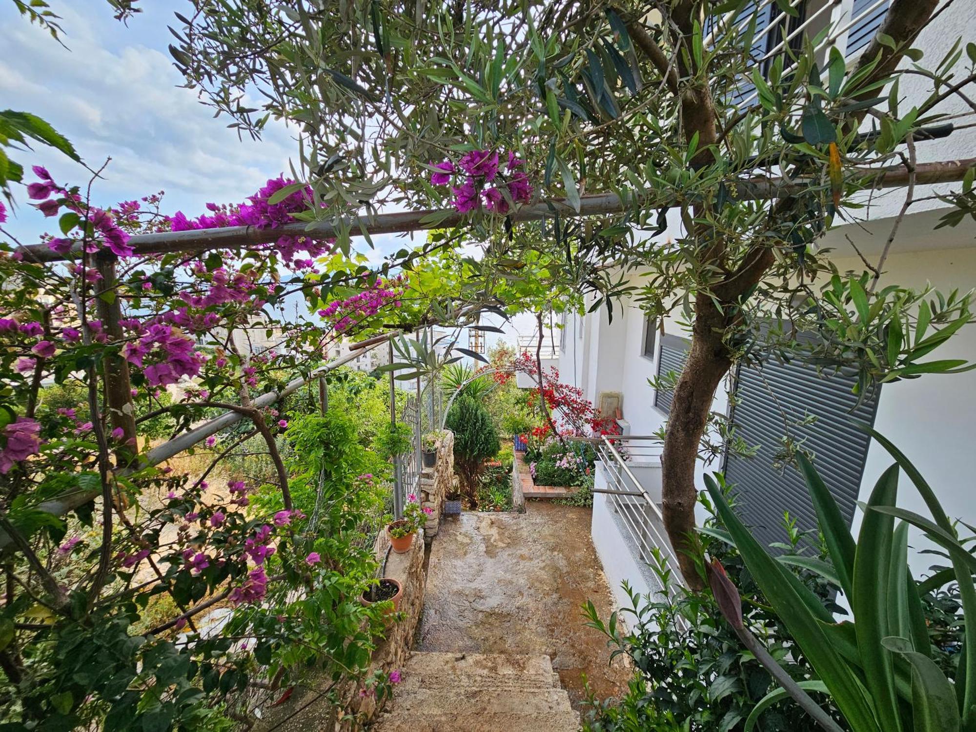 Nora'S Guesthouse Saranda Kültér fotó