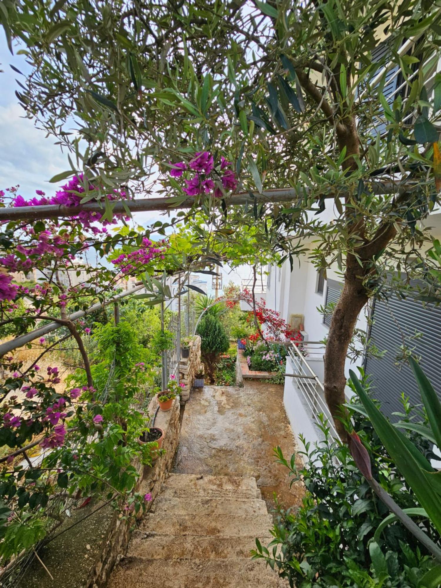 Nora'S Guesthouse Saranda Kültér fotó